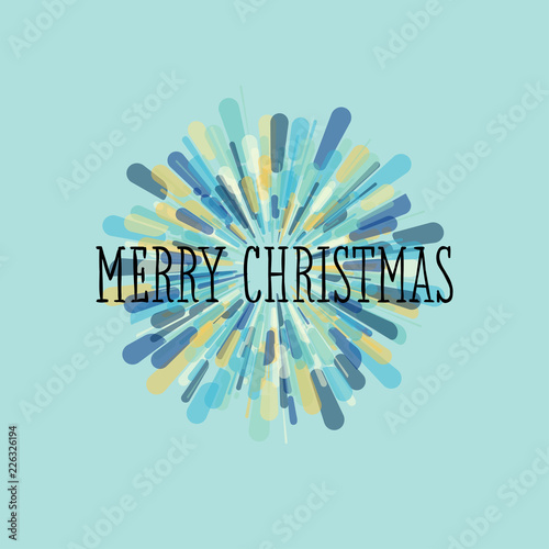 Christmas card with elegant branches of snowy berries isolated on white background
