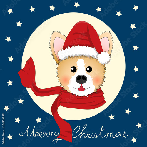 Corgi Santa Claus with Red ...