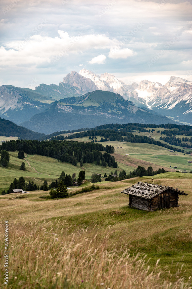 Obraz premium Seiser Alm, Dolomites Alps, Trentino Alto Adige, Italy