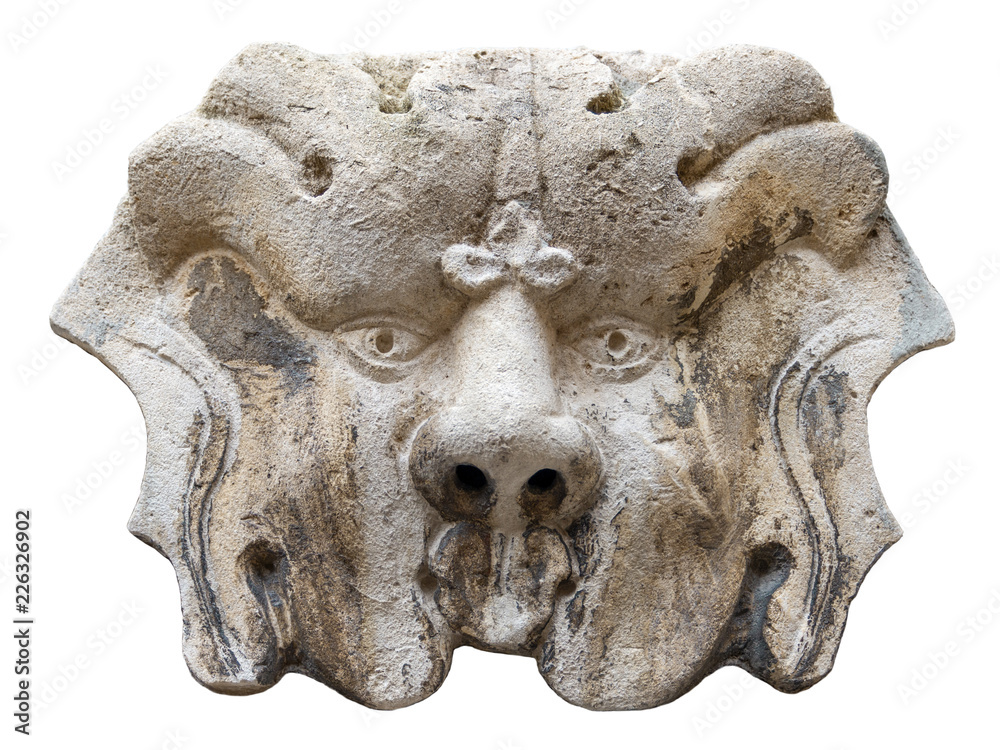 Fototapeta premium lion head relief