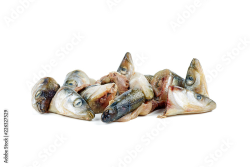 Garbage: raw european smelt fish heads isolated on white background