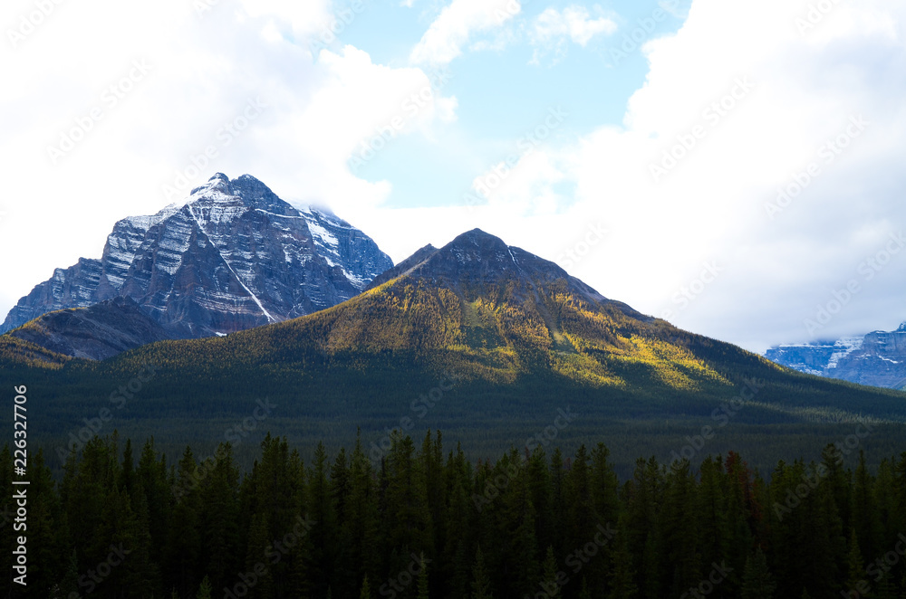 秋のカナディアンロッキー　黄葉のテンプル山（バンフ国立公園　カナダ・アルバータ州）
