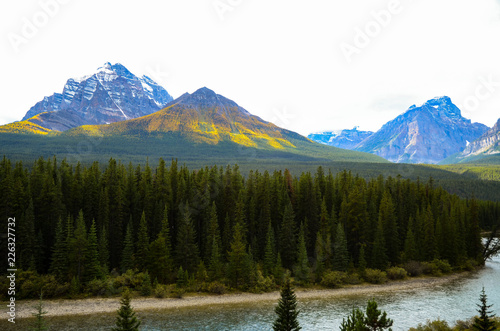 秋のカナディアンロッキー 黄葉のテンプル山とボウ川（バンフ国立公園 カナダ・アルバータ州）
