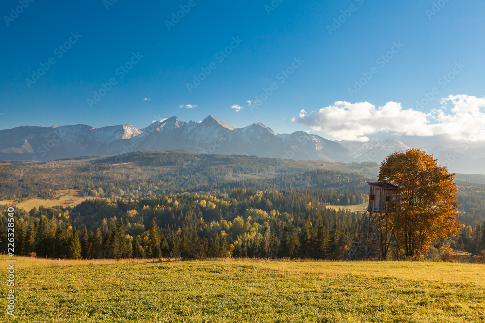 Foliage Tatry view