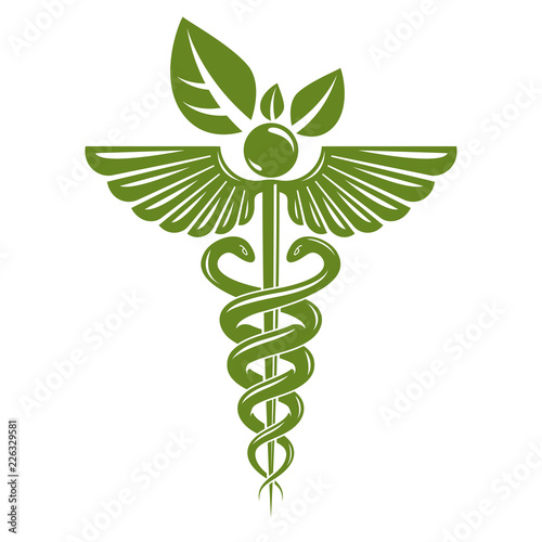 Caduceus symbol composed with poisonous snakes and bird wings, healthcare conceptual vector illustration. Alternative medicine theme.