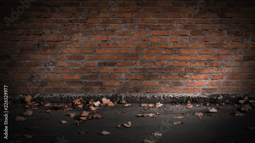 background empty brick wall on the street, asphalt, yellow leaves autumn, sunlight, City street background