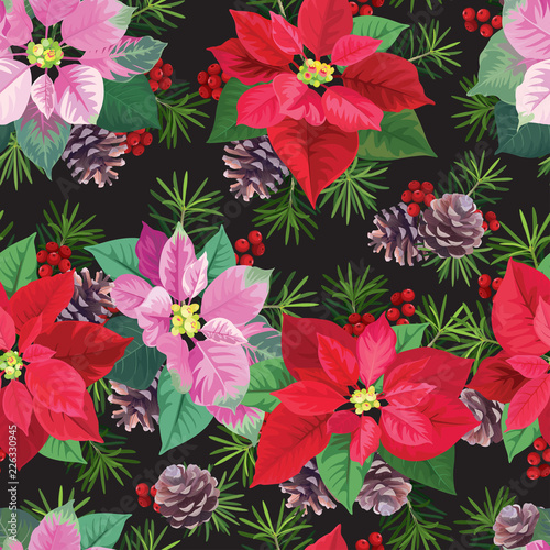 Seamless pattern of Poinsettia flowers in pink and red color with pine and berry on purple background. Vector set of Christmas elements for holiday invitations  greeting card and advertising design.
