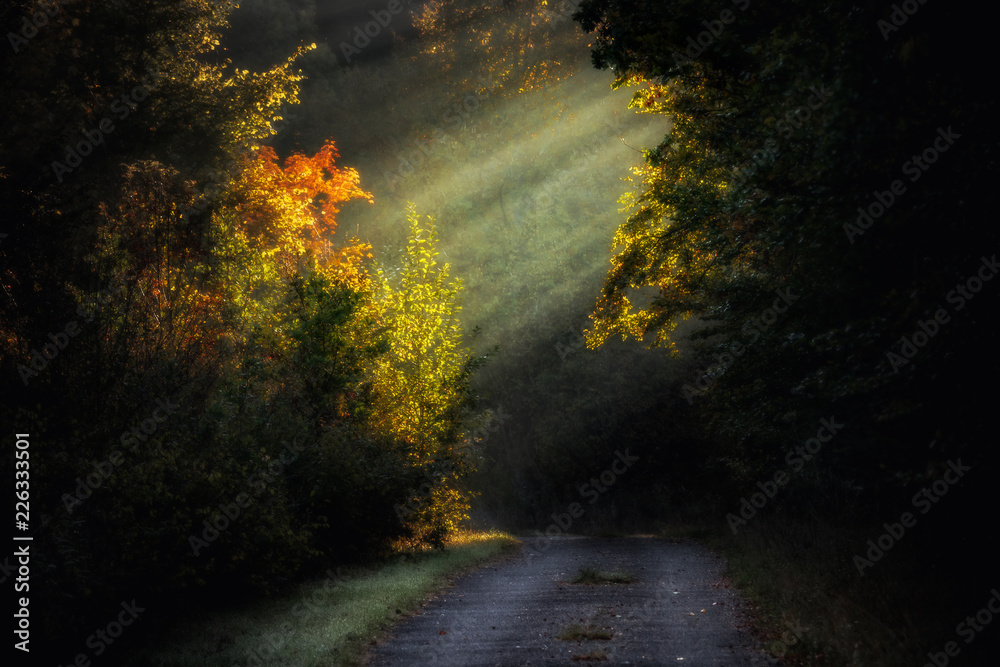 Romantic autumn landscape with rays of sunlight in the misty, foggy forest
