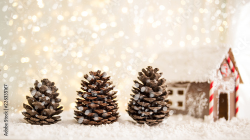 Merry christmas and happy new year greeting card with copy-space.fir cones and gingerbread in the form of a house. Christmas background.