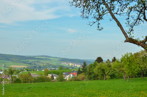 Landscape, sky, nature, tree, grass