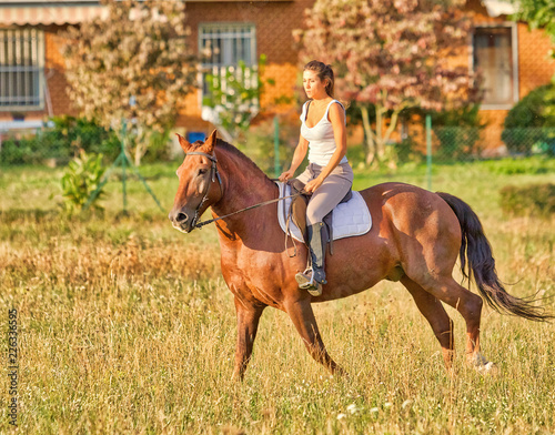 Una ragazza con il suo cavallo nei campi dietro casa