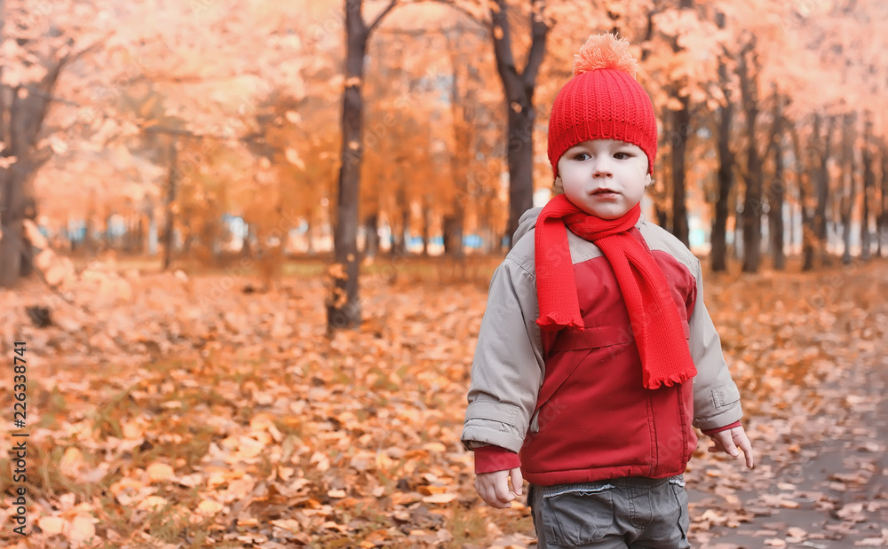 Children are walking in nature. Twilight kids are walking around Children are walking in nature. Twilight kids are walking around