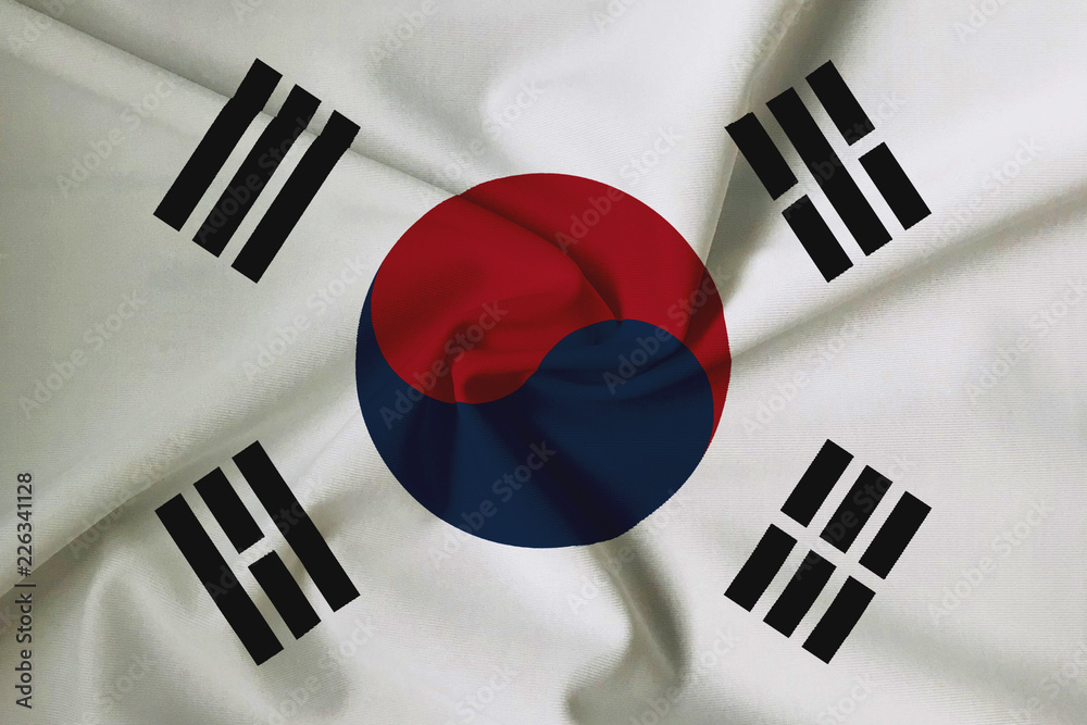 Waving Korean Republic flag with a fabric texture Waving Korean Republic flag with a fabric texture