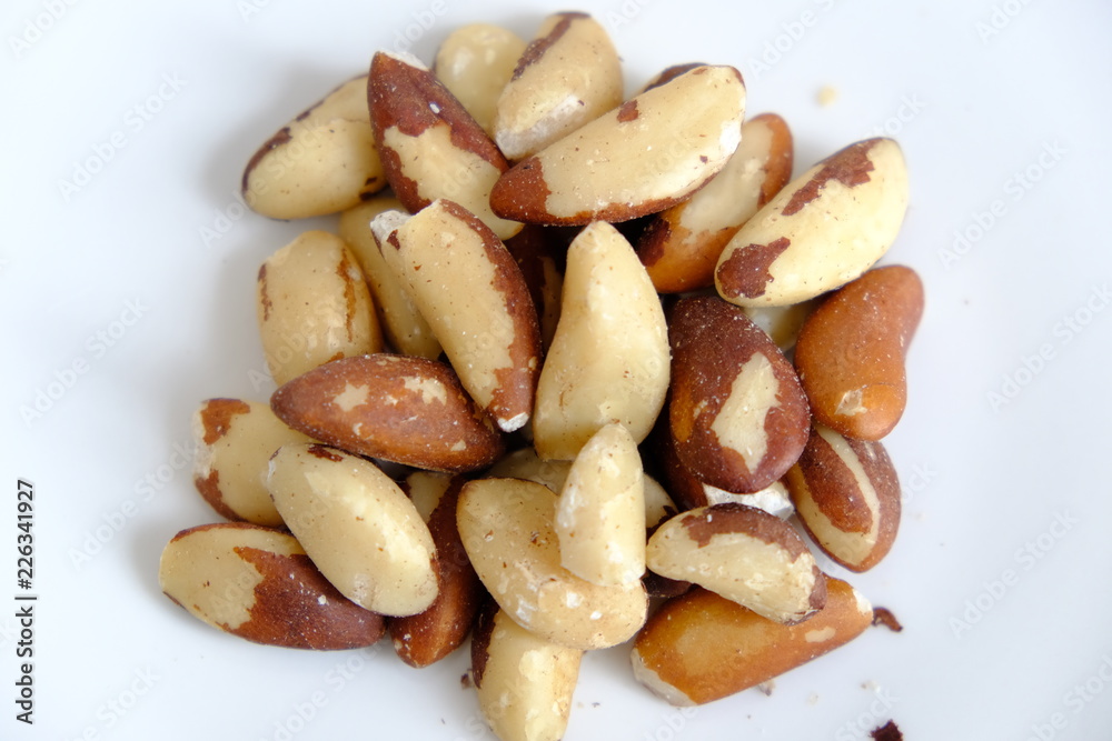 big nuts big nuts