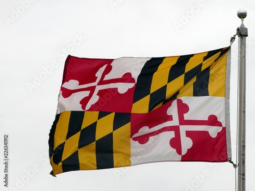 Maryland State Flag Waves in the Wind photo