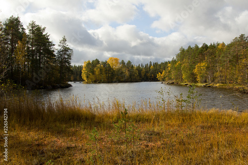 Lake in autumn forest