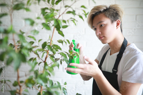 Young Asian boy takes care of indoor plants