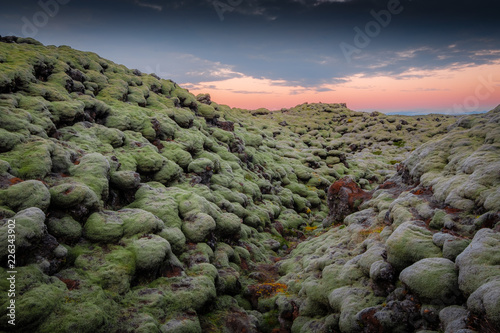 Eldhraun Lava field, Iceland photo