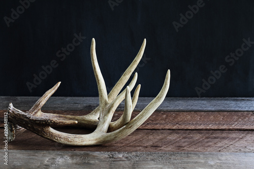 Pair of real white tail deer antlers over a rustic wooden table against a black background used by hunters when hunting to rattle in other large bucks. Free space for text.