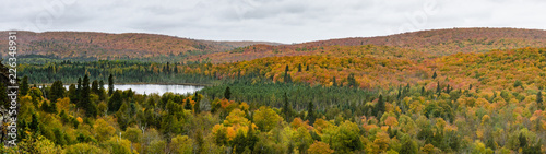 Fall Foliage Panorama Landscape Oberg Mountain Minnesota
