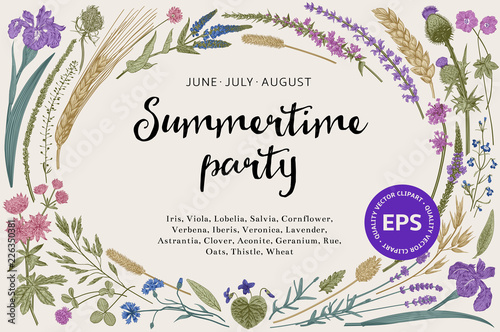 Summertime party. Floral  horizontal card. Flowers and plants of fields and forests. Vector vintage botanical illustration.