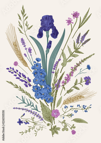 Summertime. Floral composition. Flowers and plants of fields and forests. Vector vintage botanical illustration.