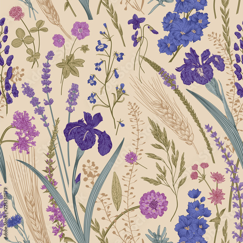 Summertime. Seamless pattern. Flowers and plants of fields and forests. Vector vintage botanical illustration.