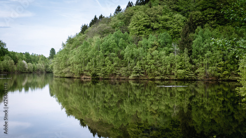 lake in the forest 2