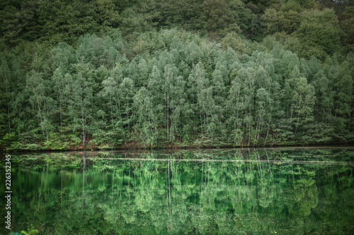 reflections in the water