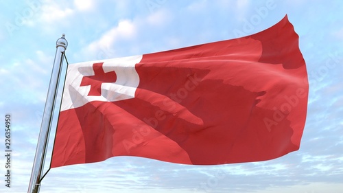 Weaving flag of the country Tonga