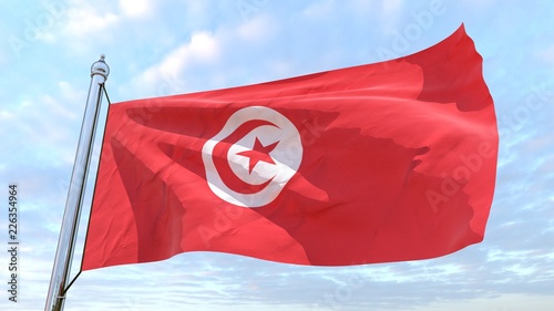 Weaving flag of the country Tunisia