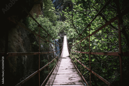 Fototapeta Naklejka Na Ścianę i Meble -  bridge in the forest