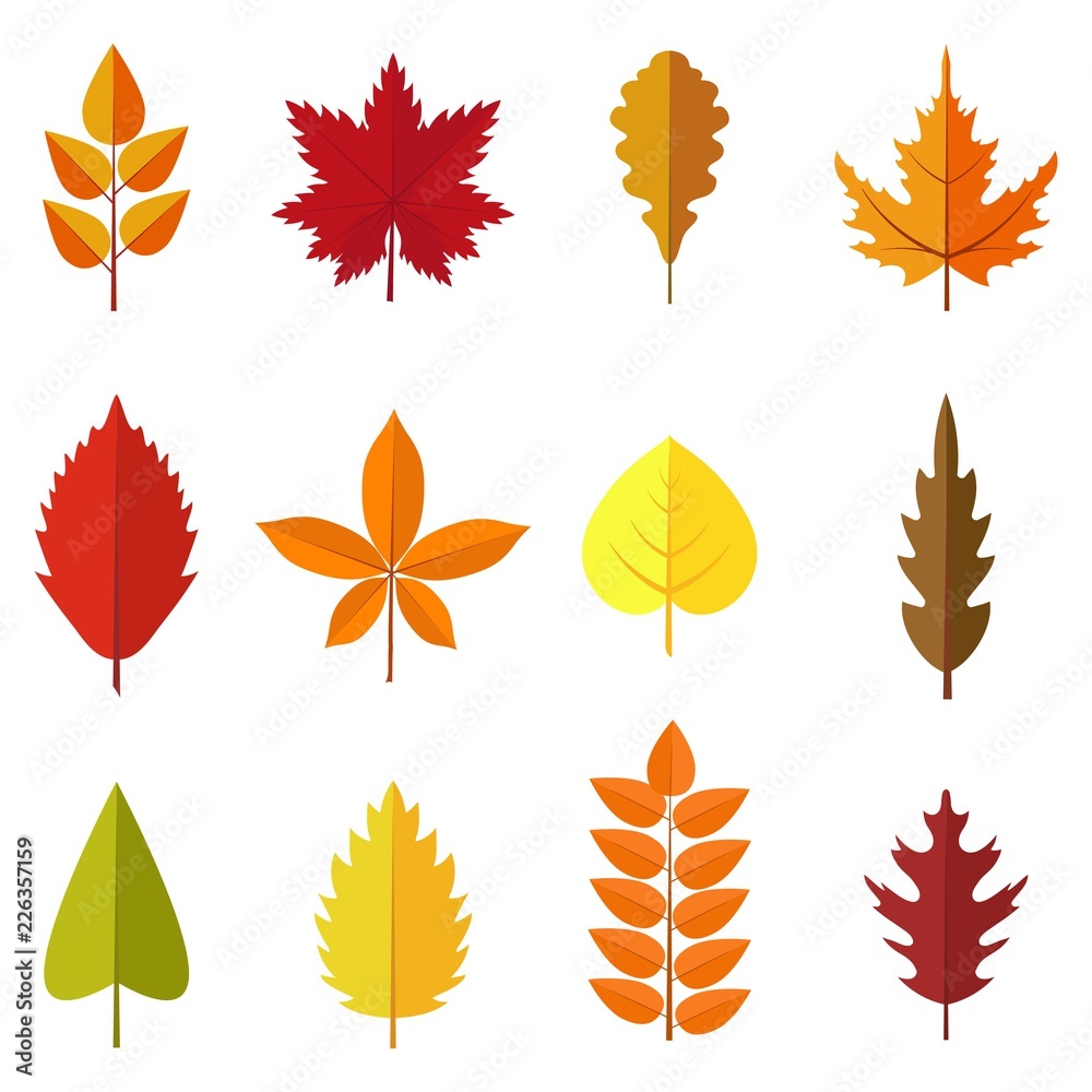 Set of colorful autumn leaves isolated on white background. Green, red and orange fallen autumn leaves collection in flat style. Vector illustration Set of colorful autumn leaves isolated on white background. Green, red and orange fallen autumn leaves collection in flat style. Vector illustration