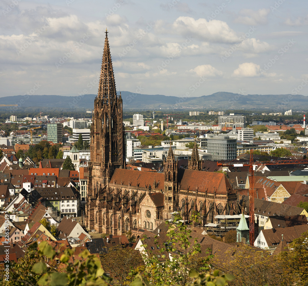 Fototapeta premium Freiburger Münster