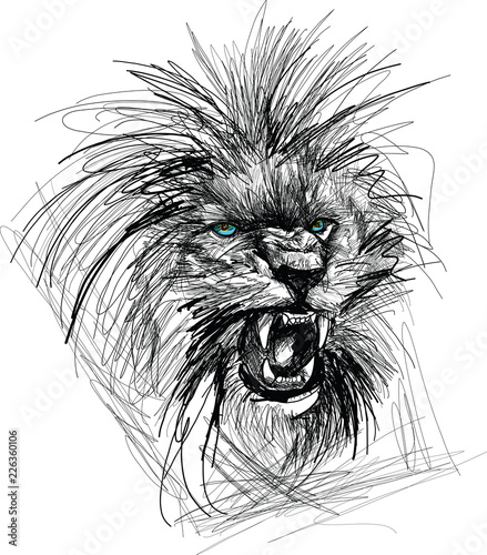 Fototapeta Naklejka Na Ścianę i Meble -  Sketch of lion head