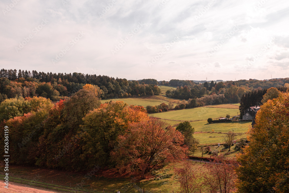 Obraz premium landscape in autumn