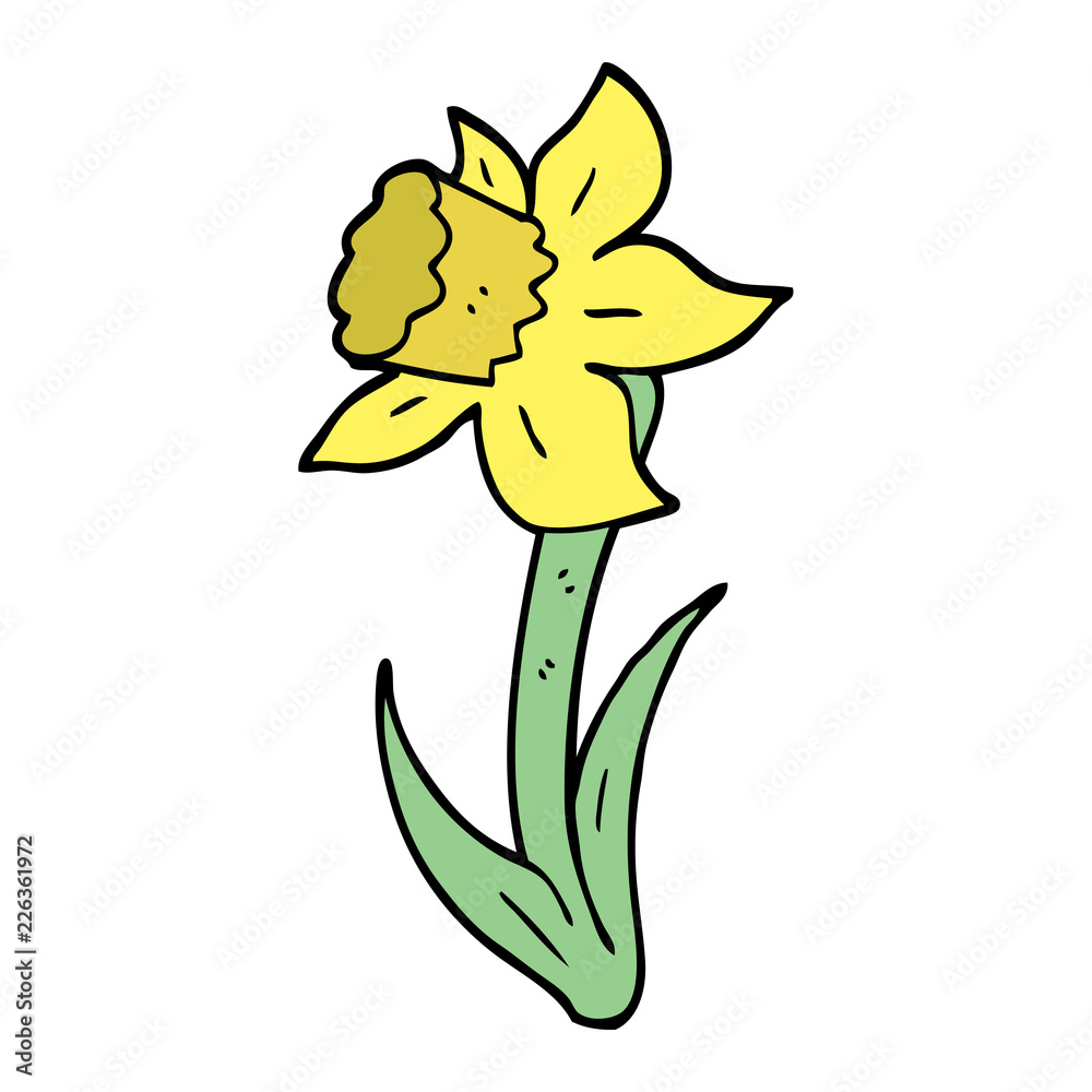 hand drawn doodle style cartoon daffodil