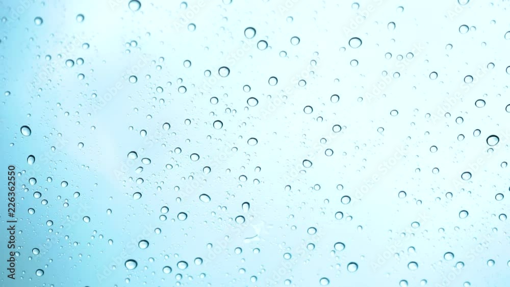 Rain water drop of grass background movie Rain water drop of grass background movie