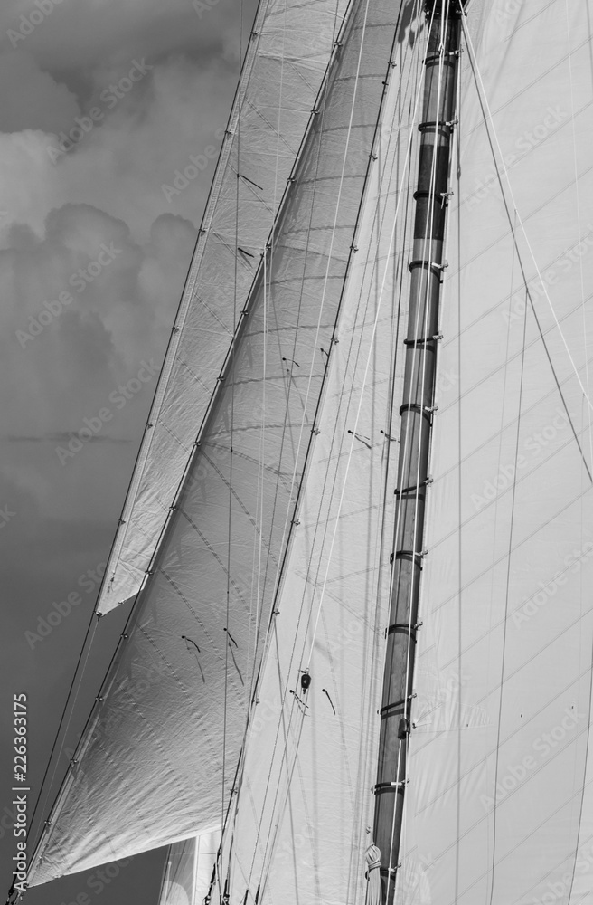 Fototapeta premium Sail