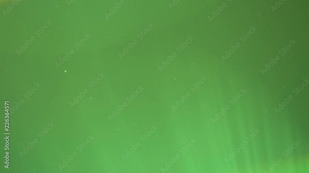 Bokeh green background. Microscopic blurry shiny particles of home dust flying slowly in air. Real time full hd video footage.