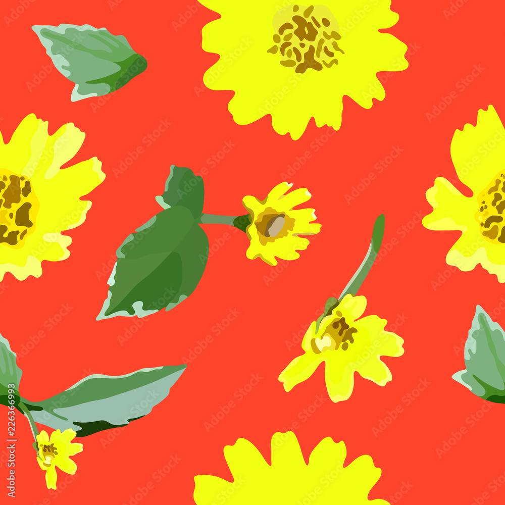 Seamless pattern of Creeping Daisy flowers, flat minimal rerto/vintage summer vector