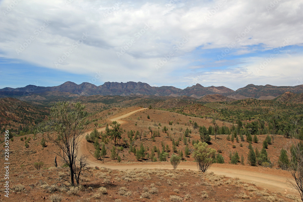 Gravel track road winding off in to the distance in the Flinders Ranges, South Australia