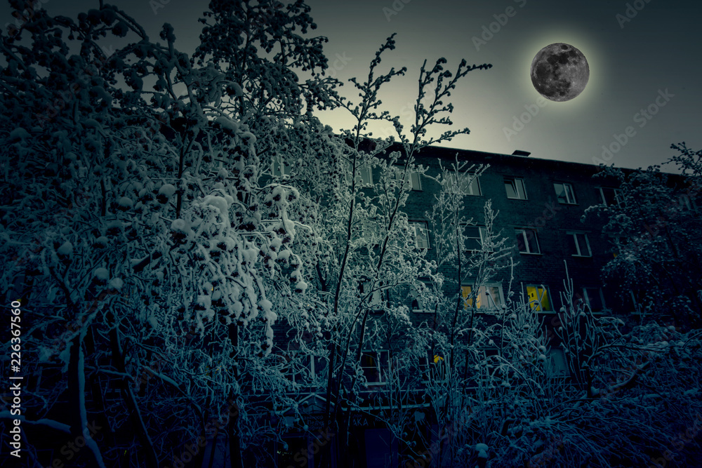 Dark spooky forest and home with moon,halloween concept, Halloween background. 