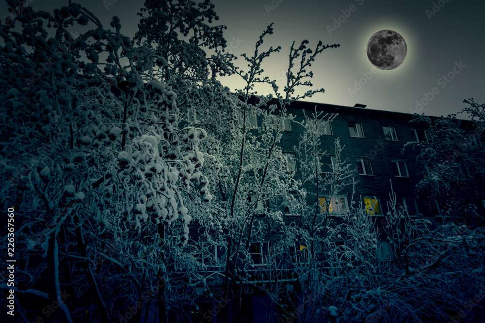 Fototapeta premium Dark spooky forest and home with moon,halloween concept, Halloween background. 