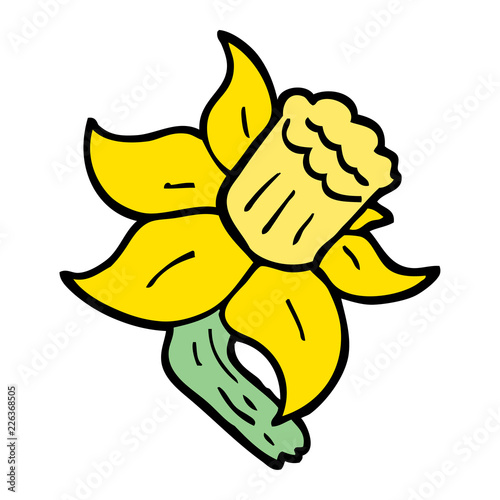 hand drawn doodle style cartoon daffodil