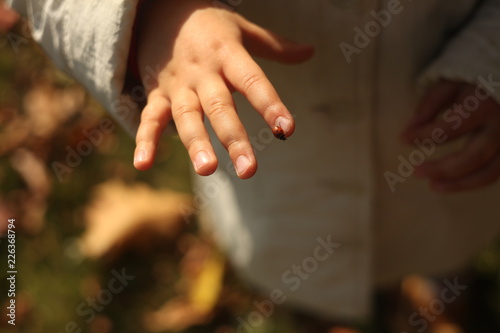 hand of a child with ladybug on the finger