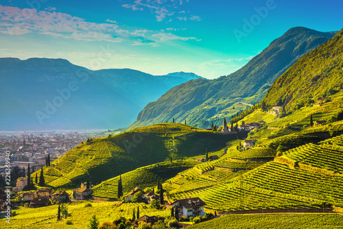 Vineyards view in Santa Maddalena Bolzano. Trentino Alto Adige Sud Tyrol, Italy.