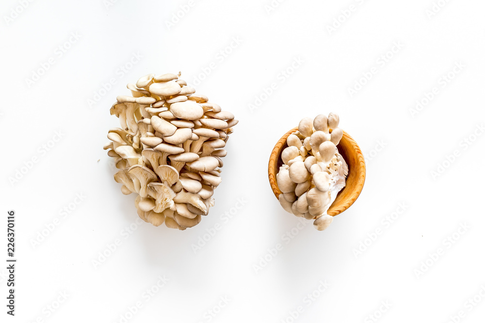 Oyster mushroom. Fresh raw veshenka on white background top view copy space