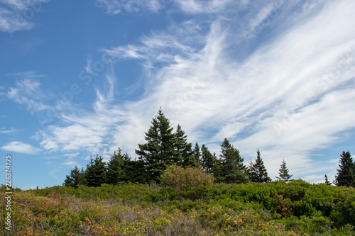 Magnificent landscape scene of hill, trees, forest, sky and a beautiful cloud  arrangement