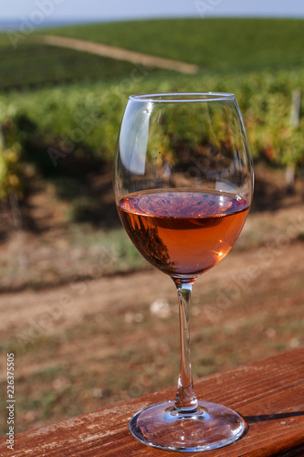 Autumn landscape with a glass of rose wine on the background of a vineyard.